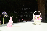 MIR_6441.jpg